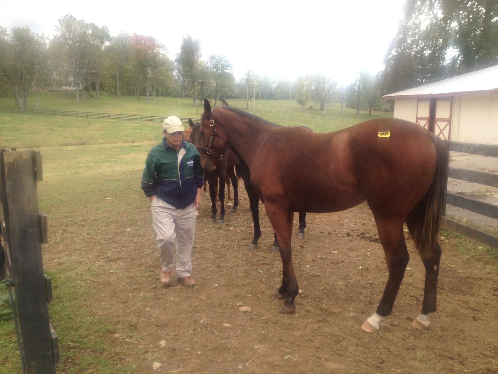 Dwight with Horse